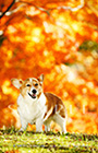 PEM_037_D3R_3412