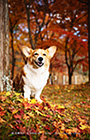PEM_039_D3R_4214