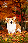 PEM_040_D3R_4239