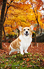 PEM_041_D3R_4247