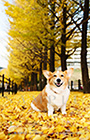 PEM_042_D3R_4291