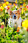 PEM_045_D3R_7797