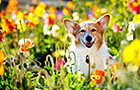 PEM_046_D3R_7804