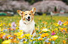 PEM_047_D3R_2543