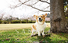PEM_050_D3R_2978