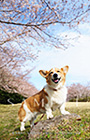 PEM_052_D3R_3313
