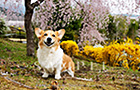 PEM_055_D3R_4896