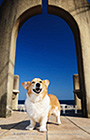 PEM_057_D3R_5185