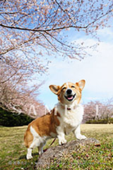 OPM_008_D3R_3313
