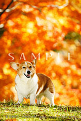 OPM_010_D3R_3412
