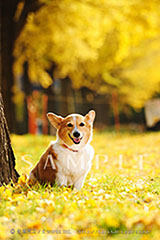 OPM_012_D3R_4278