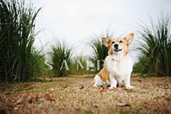 OPM_017_D3R_4597
