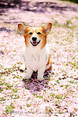 OPM_018_D3R_4639