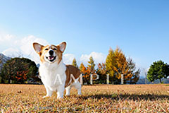 OPM_031_DSC_3439