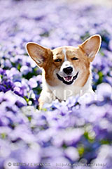 OPM_032_DSC_9099