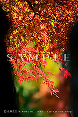 OPS_001_20R_5152