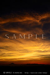 OPS_009_DSC_3371