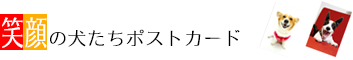 Ί̌|XgJ[h