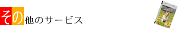 ̑̃T[rX