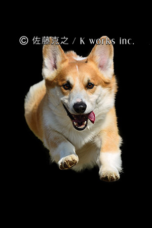 (C) 佐藤克之 / Kworks inc.