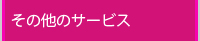 ̑̃T[rX