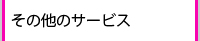 ̑̃T[rX