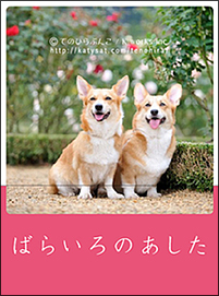 ΂炢̂@ / Ă̂ЂԂ񂱁@(C) Tq@K works inc.