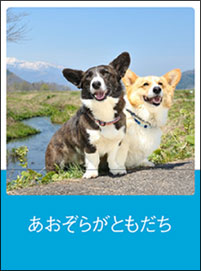 炪Ƃ