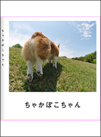 Ⴉۂ