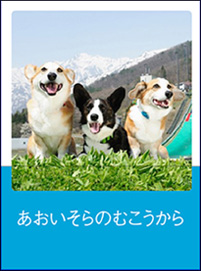 ̂ނ
