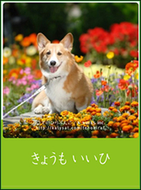 傤 